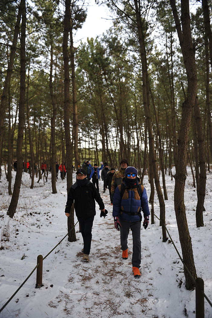 DSC_2495.JPG